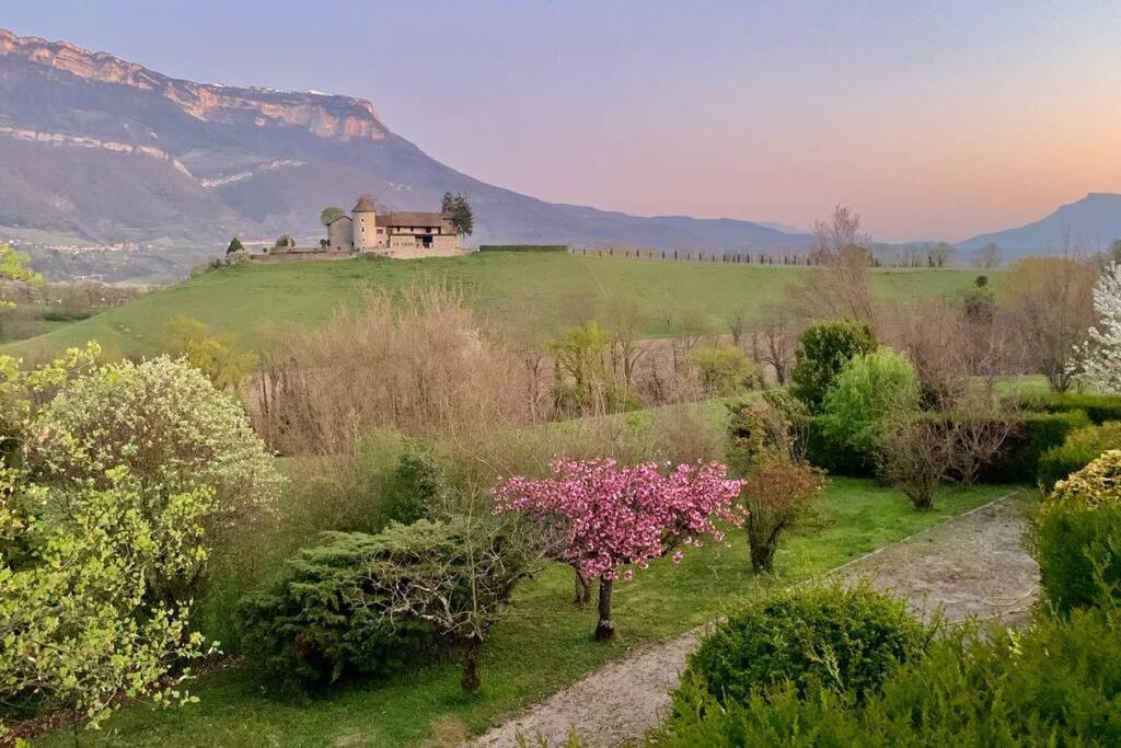 Au Calme Avec Vue Magnifique A Saint Maximin Apartment ภายนอก รูปภาพ
