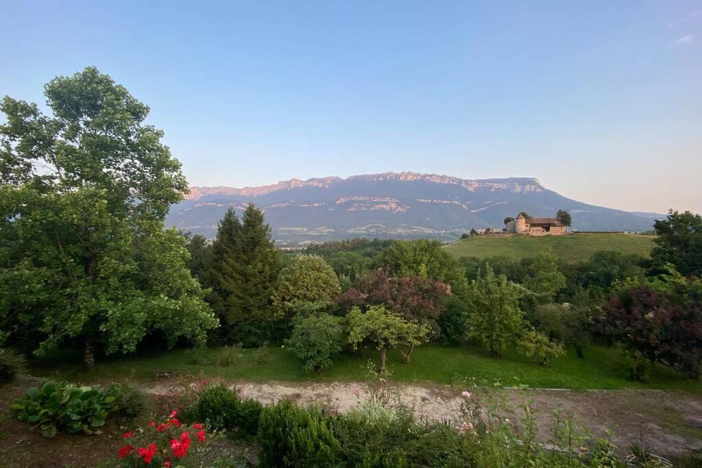 Au Calme Avec Vue Magnifique A Saint Maximin Apartment ภายนอก รูปภาพ